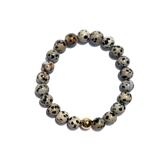 Dalmatian Jasper Gold Bead Bracelet