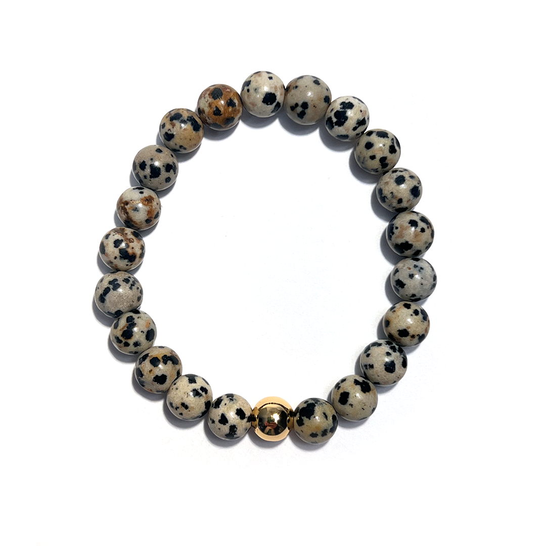 Dalmatian Jasper Gold Bead Bracelet
