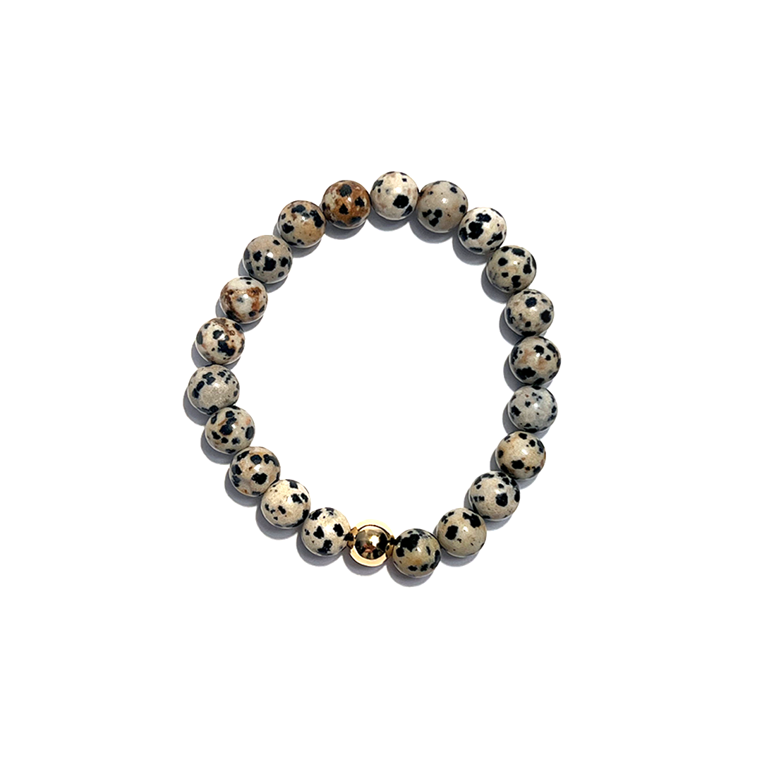 Dalmatian Jasper Gold Bead Bracelet